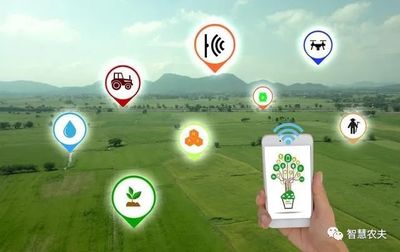 發(fā)展智慧農(nóng)業(yè) 實(shí)現(xiàn)鄉(xiāng)村振興 智能農(nóng)業(yè)管理的新路徑