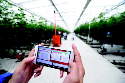 智慧農(nóng)業(yè)造就農(nóng)業(yè)工廠——智能農(nóng)業(yè)管理助力臨邑農(nóng)業(yè)現(xiàn)代化