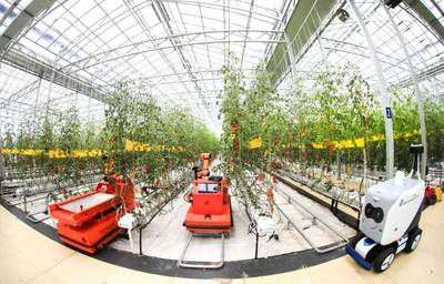 點點手機就能管理大棚，濰坊壽光以數字化賦能蔬菜產業升級