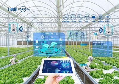 卡奧斯海優禾入選農業農村部信息中心優秀案例 科技點亮田間，智能管理賦能鄉村振興