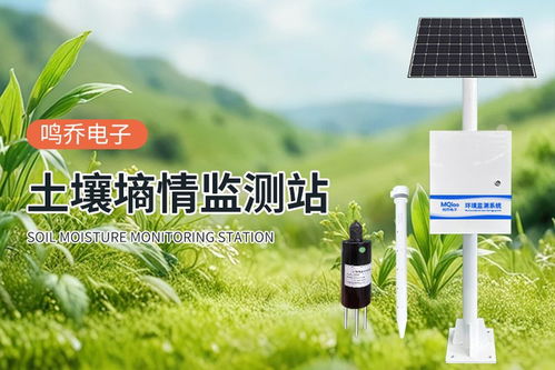 土壤墑情監測系統 農田的“智能聽診器”，賦能高效精準農業